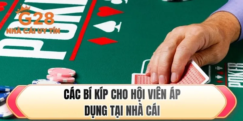 Các bí kíp cho hội viên áp dụng tại nhà cái