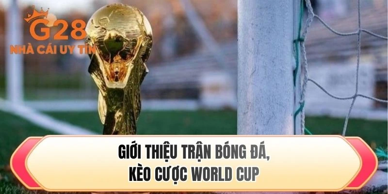 Giới thiệu trận bóng đá, kèo cược World Cup