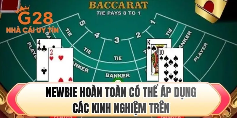 Newbie hoàn toàn có thể áp dụng các kinh nghiệm trên