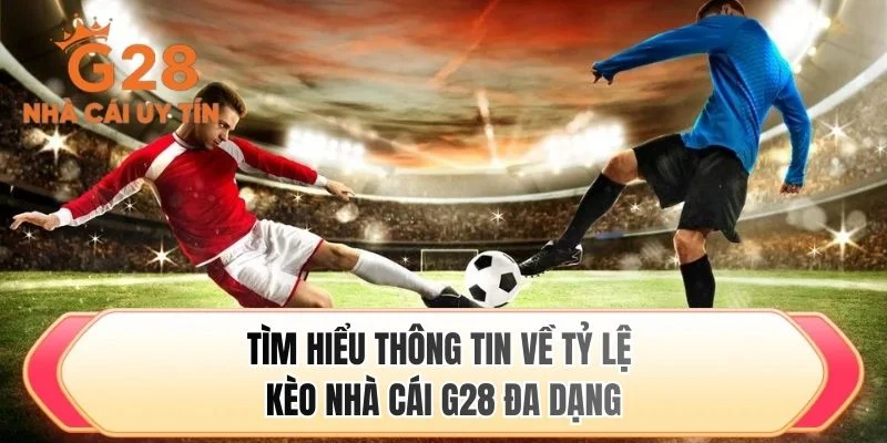 Tìm hiểu thông tin về tỷ lệ kèo nhà cái G28 đa dạng